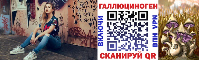 Псилоцибиновые грибы GOLDEN TEACHER  Купить  Гагарин 